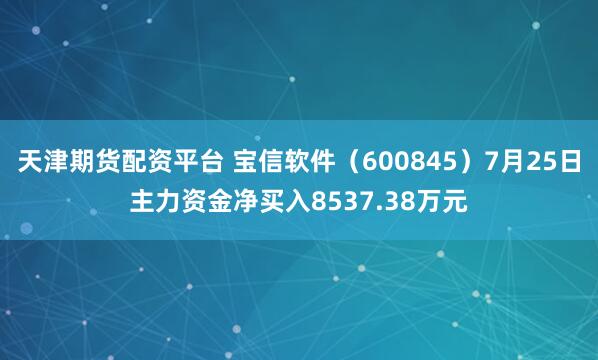 天津期货配资平台 宝信软件（600845）7月25日主力资金净买入8537.38万元
