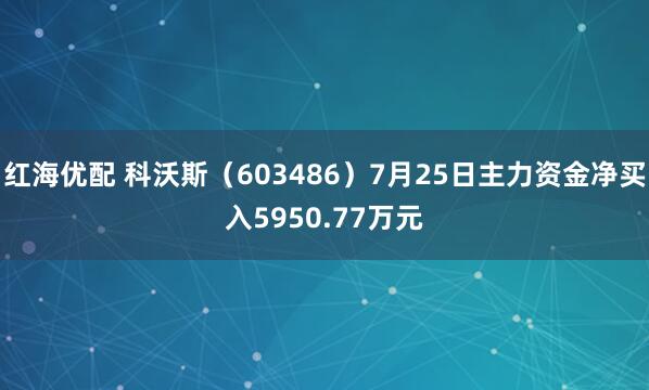 红海优配 科沃斯（603486）7月25日主力资金净买入5950.77万元