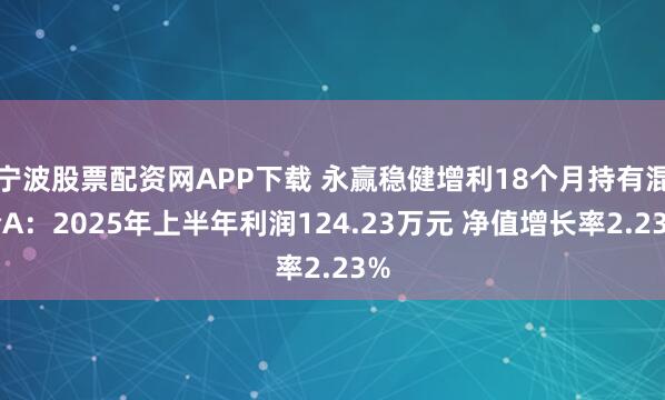 宁波股票配资网APP下载 永赢稳健增利18个月持有混合A：2025年上半年利润124.23万元 净值增长率2.23%