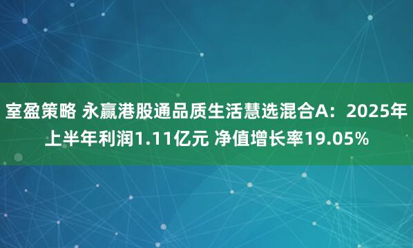 室盈策略 永赢港股通品质生活慧选混合A：2025年上半年利润1.11亿元 净值增长率19.05%