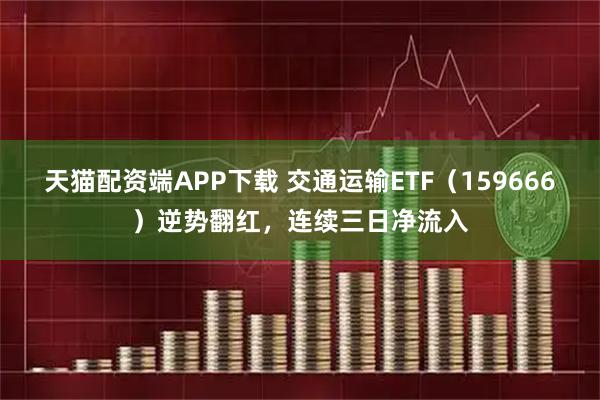 天猫配资端APP下载 交通运输ETF（159666）逆势翻红，连续三日净流入